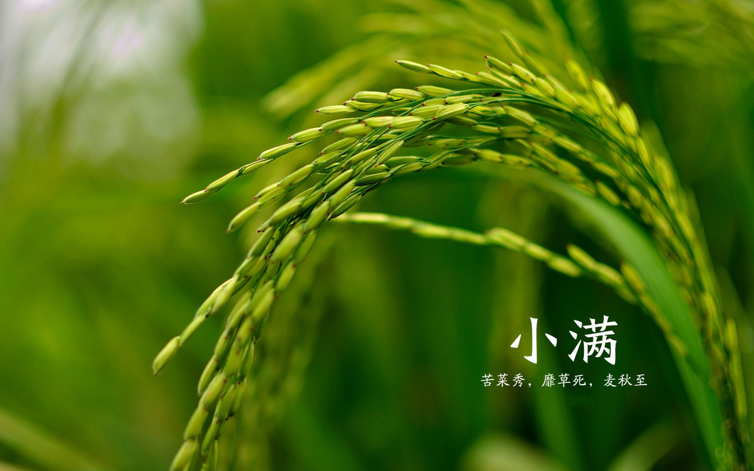 农分享